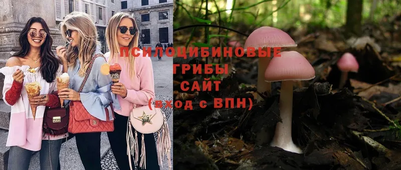 Псилоцибиновые грибы MAGIC MUSHROOMS  сколько стоит  Назарово 